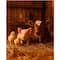 16" x 20" Farm Animals Paint-by-Number Kit by Artist's Loft®